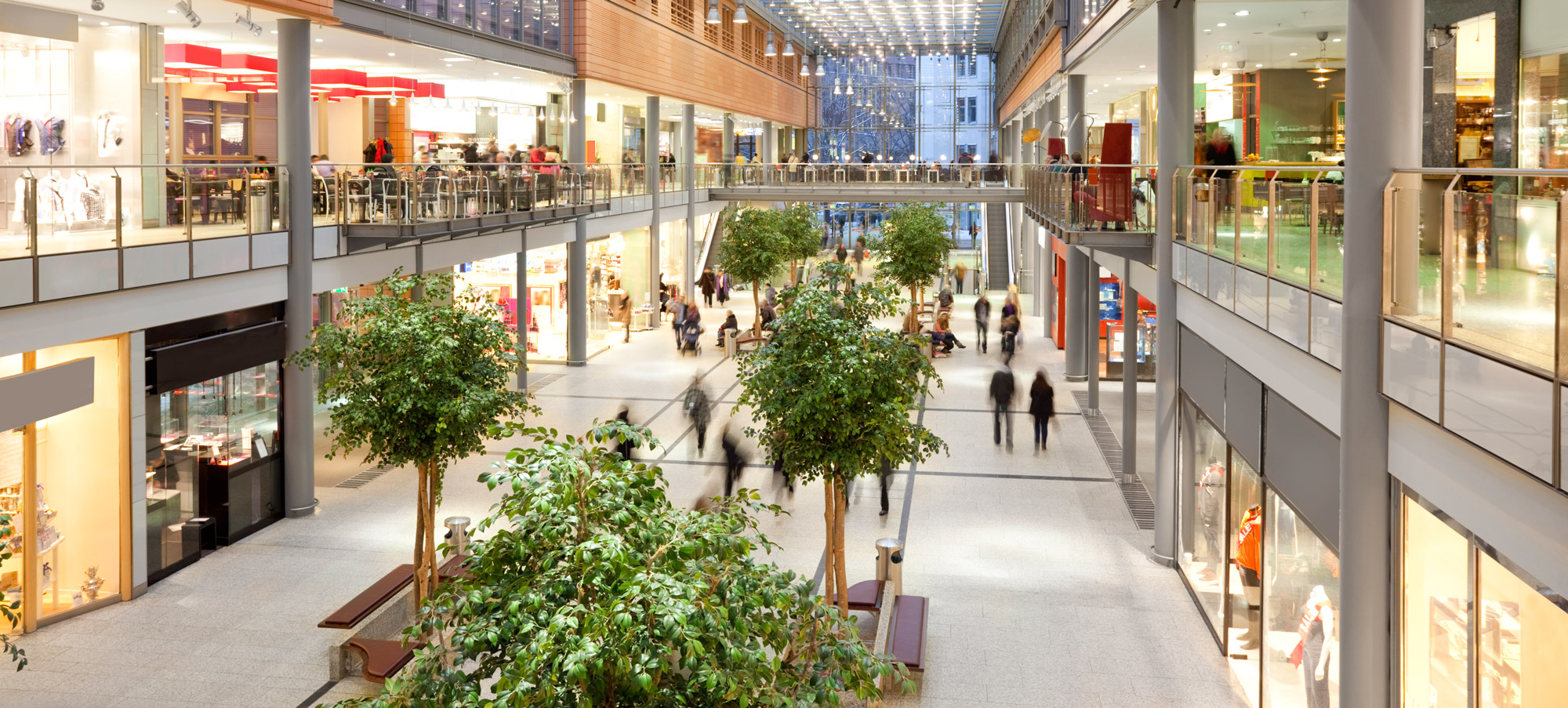 Pesteco Pest Services